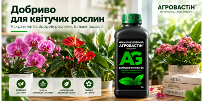 Добриво для квітучих рослин: чим і коли підживлювати